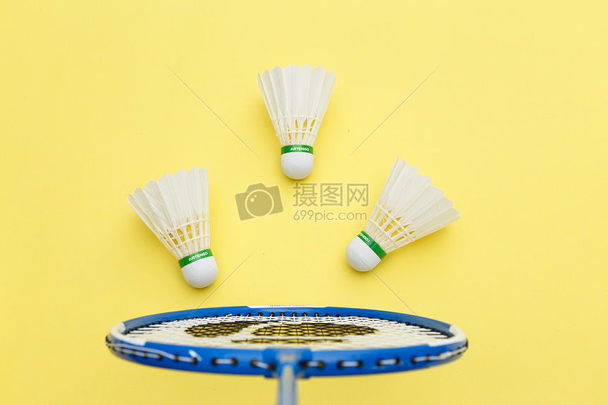 我们期待薛 我们期待薛