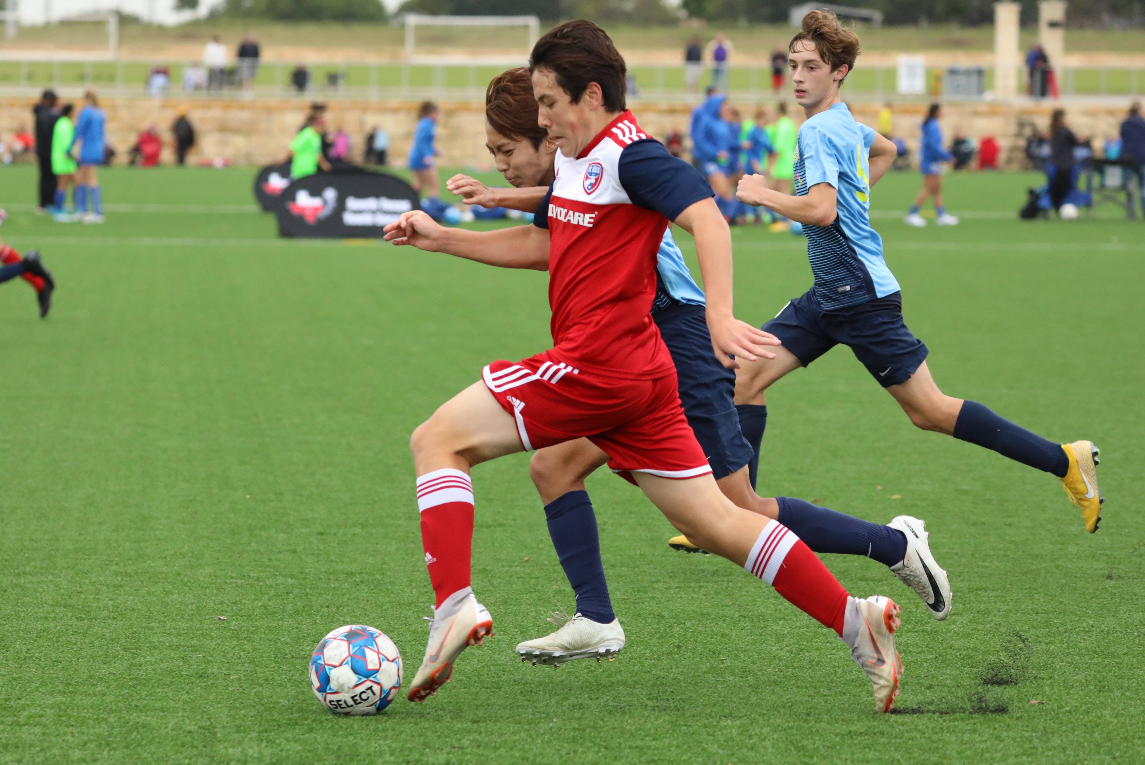 这一症结 这一症结