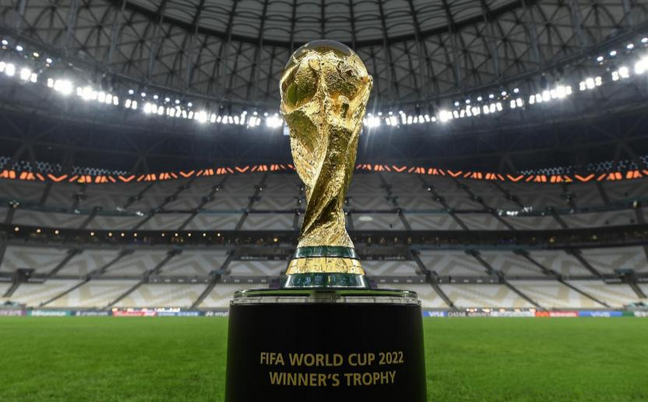 森林狼并未 森林狼并未