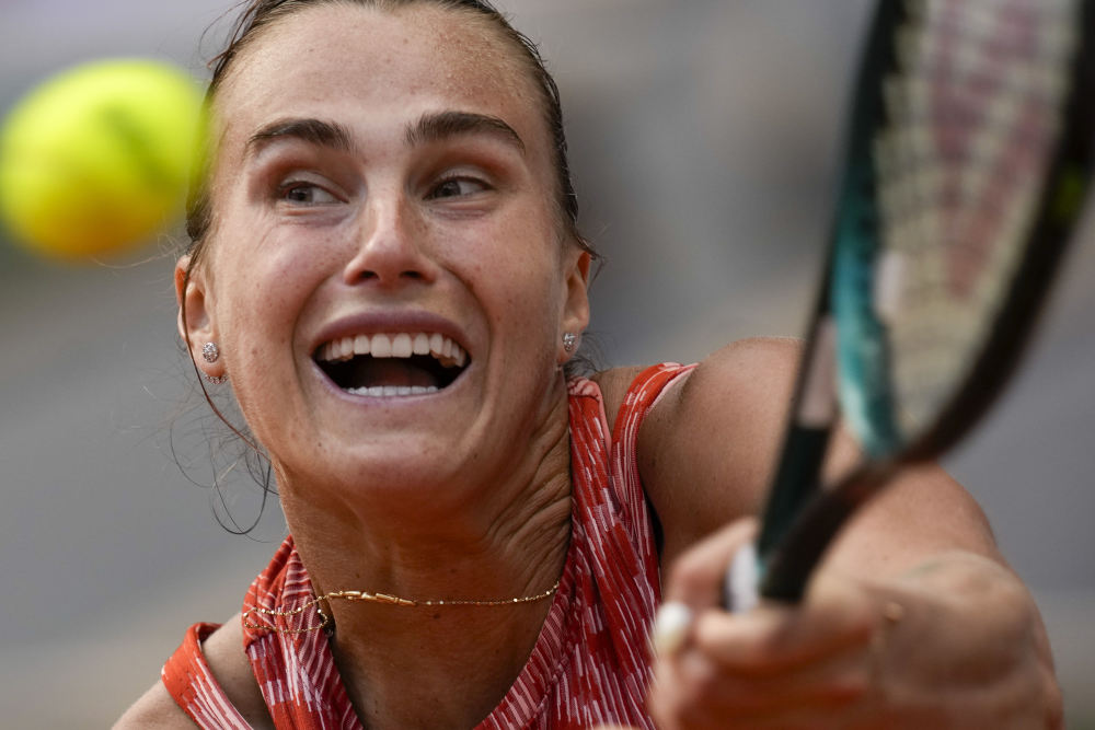 勒沃库森年 勒沃库森年