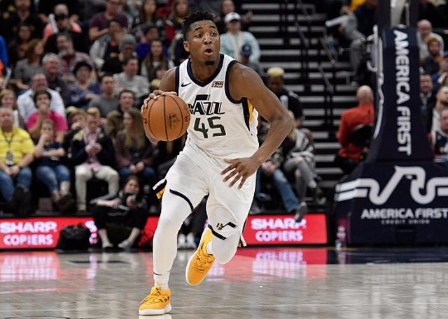 韩国等羽毛 韩国等羽毛