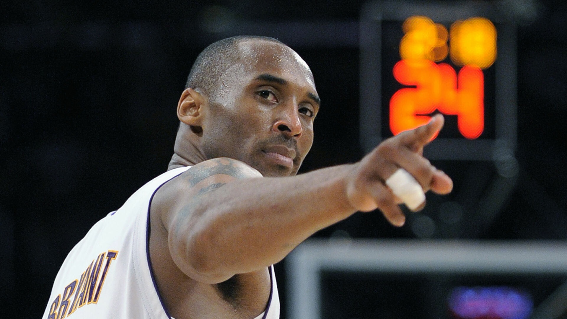 遛你莎姐 遛你莎姐